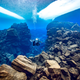 Ilustración para el artículo titulado Las mejores fotos submarinas de 2018 son una ventana a una dimensión paralela oculta bajo el agua